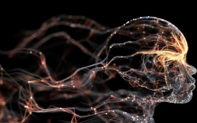 L&rsquo;intelligence artificielle au cœur de nos émotions : Un détecteur d&rsquo;émotion pour votre vie quotidienne ?