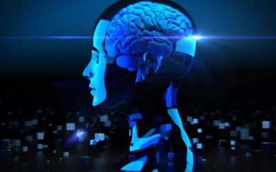 Ils ont tout quitté pour devenir des experts en IA : Témoignages en immersion